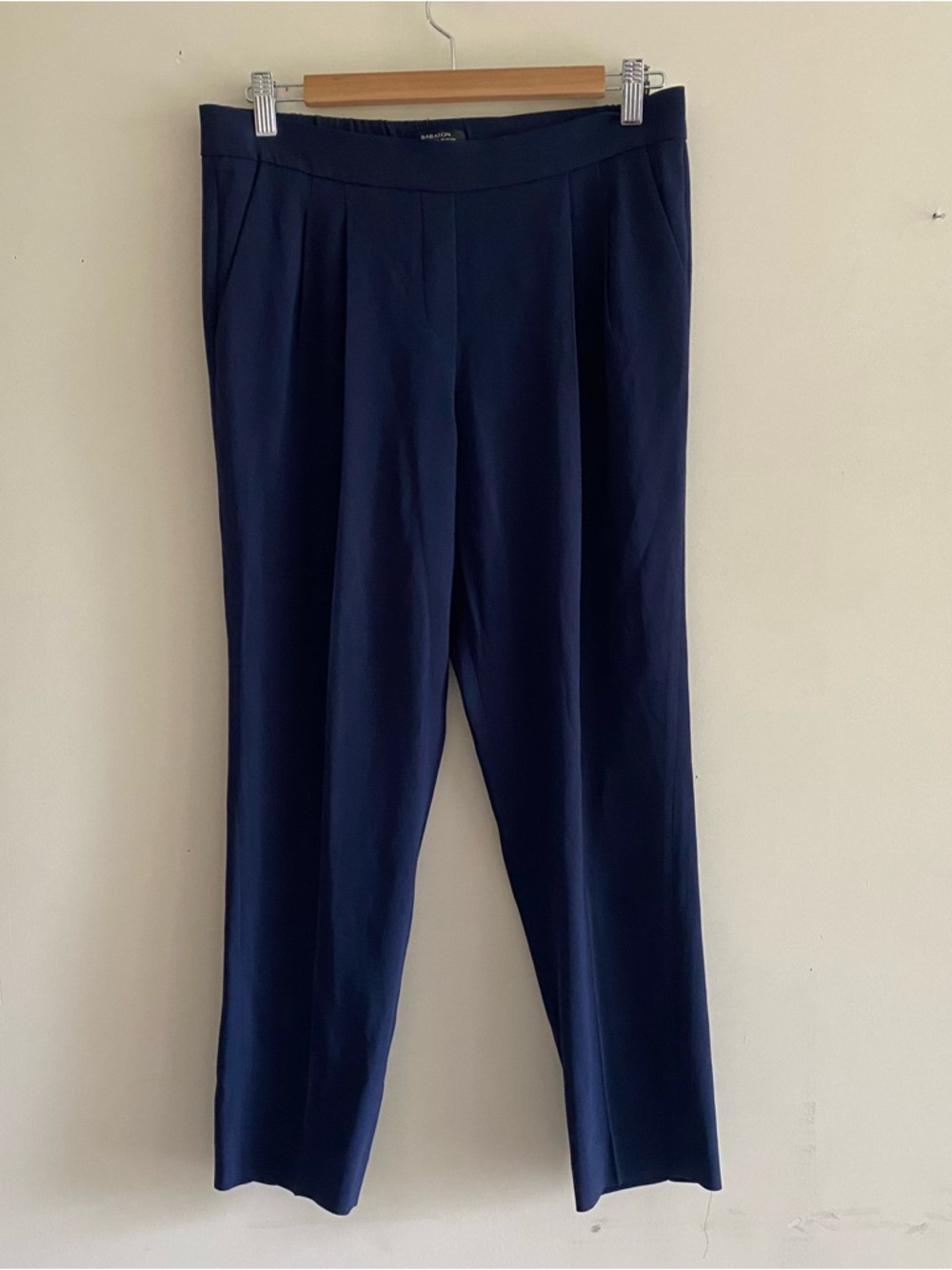 Aritzia Babaton Conan Pants